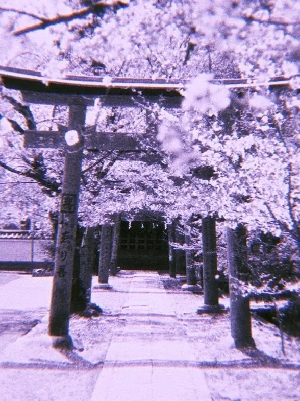 krs_034의 君がいない