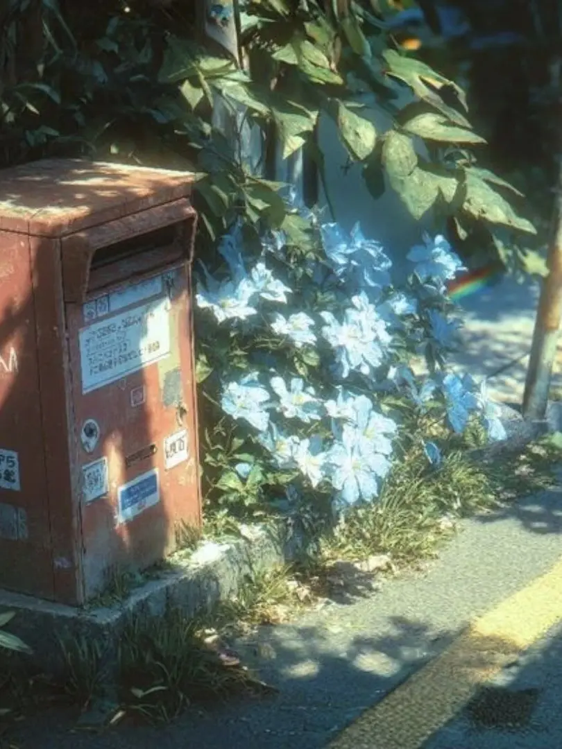 S_ana의 想いを届けます || 🌞🌻
