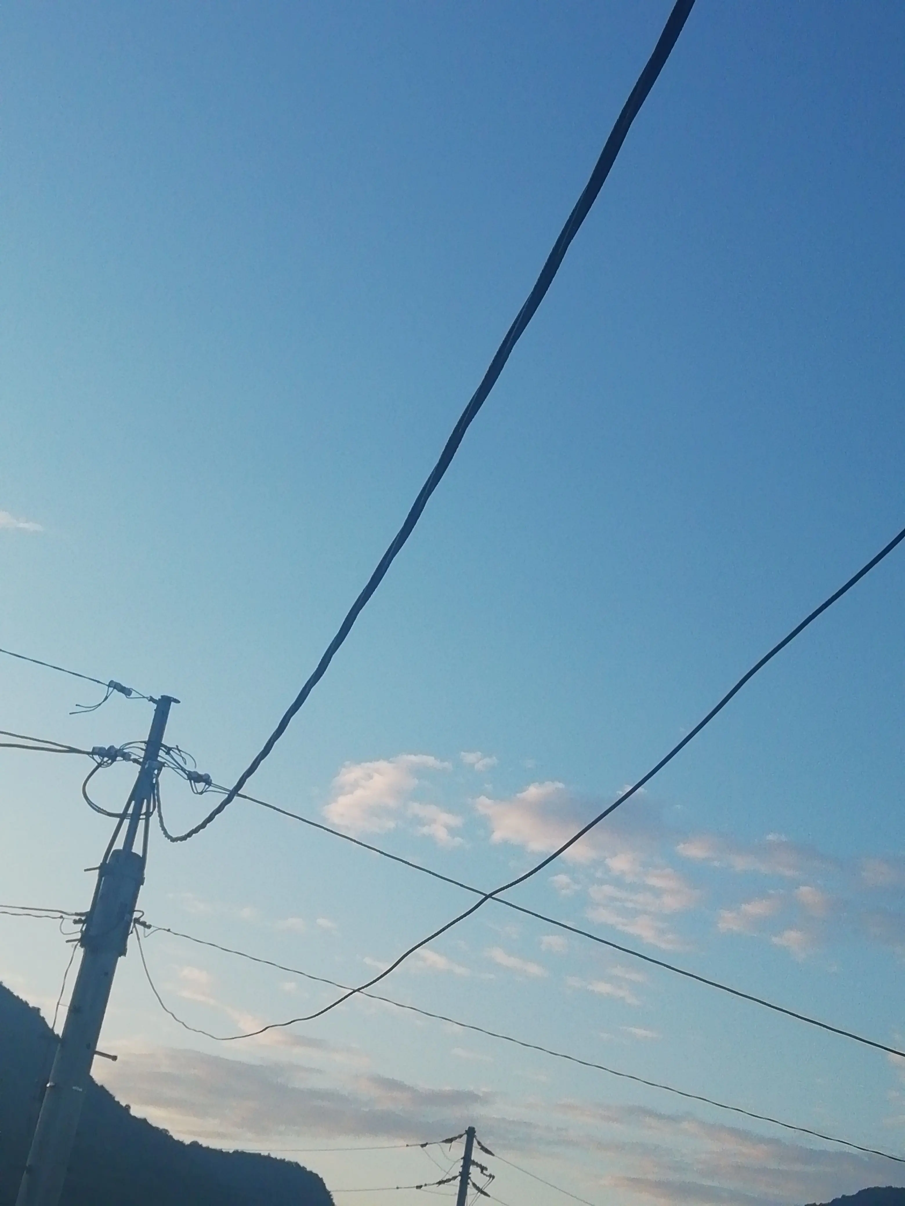 FlimsyLargo9880의 書類の山から見つけた恋