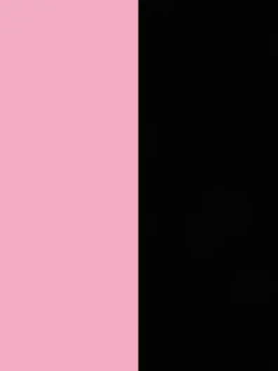 omochi_cats의 2人がヤッていました…♡