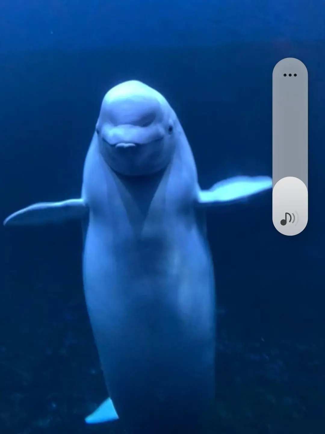 FuzzyStork8648의 여수 아쿠아플라넷