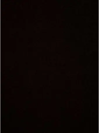 xizxwxx의 센과 치히로의 행방불명