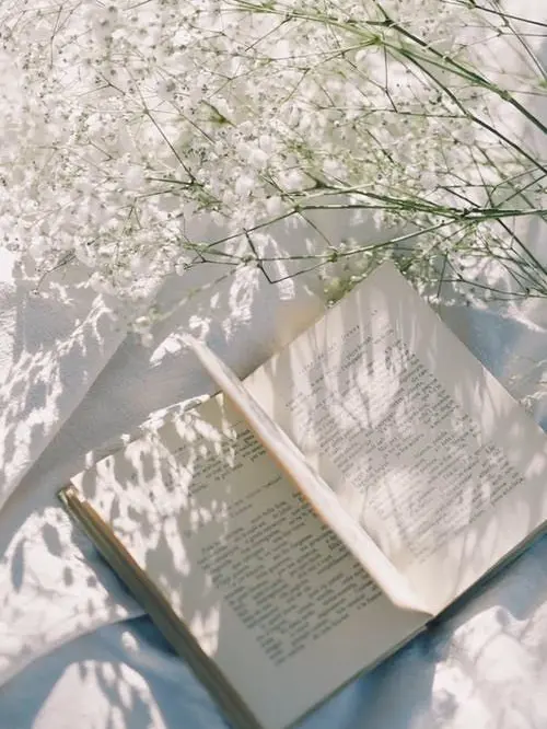 mil_lovers.Moon_night의 Graduating from M!LK...!