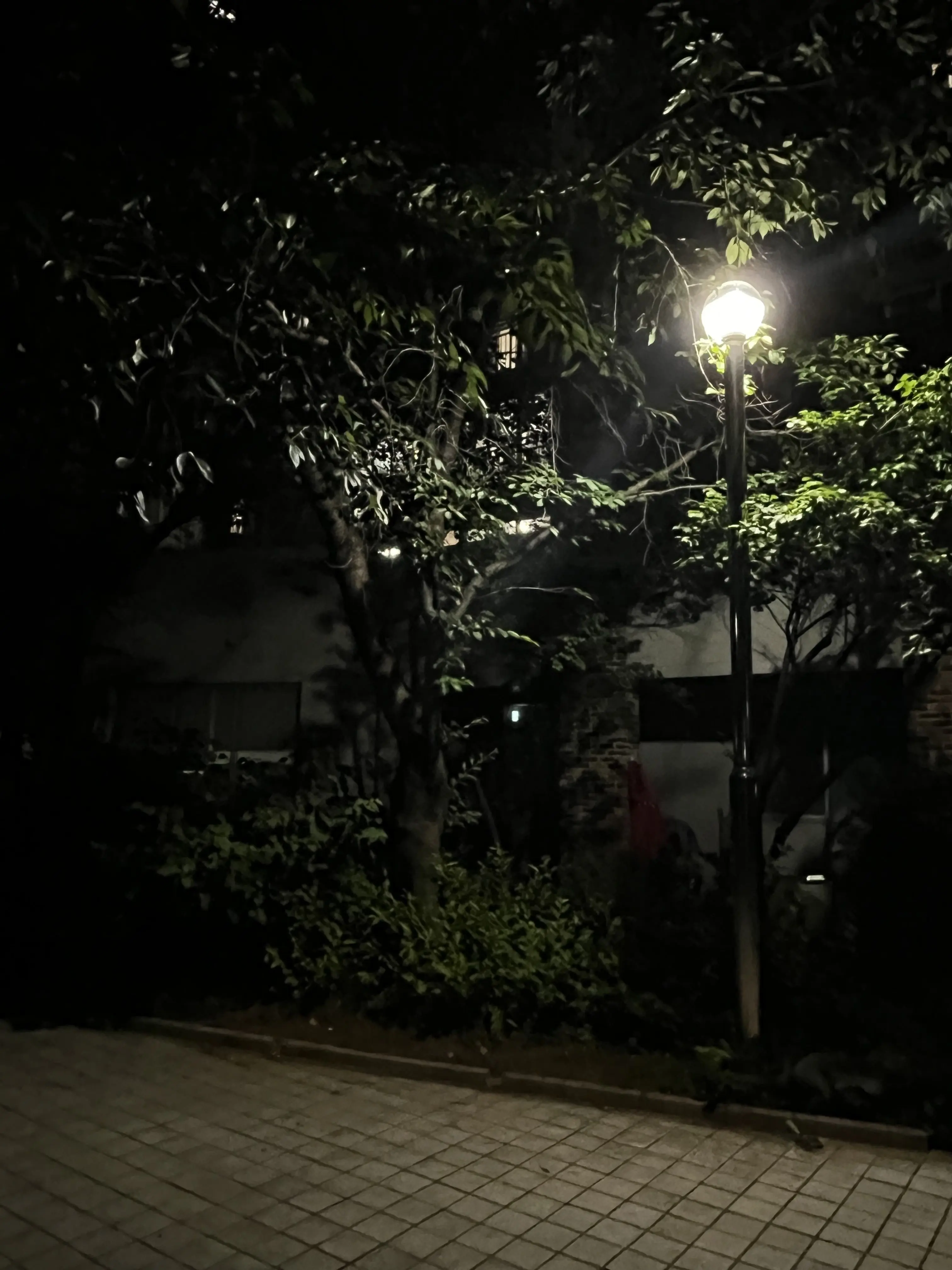 JoyfulQuail6397의 너가 더 좋아