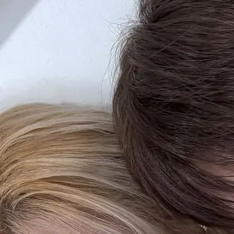 beomgyusonhoWonhi의 いりおんず