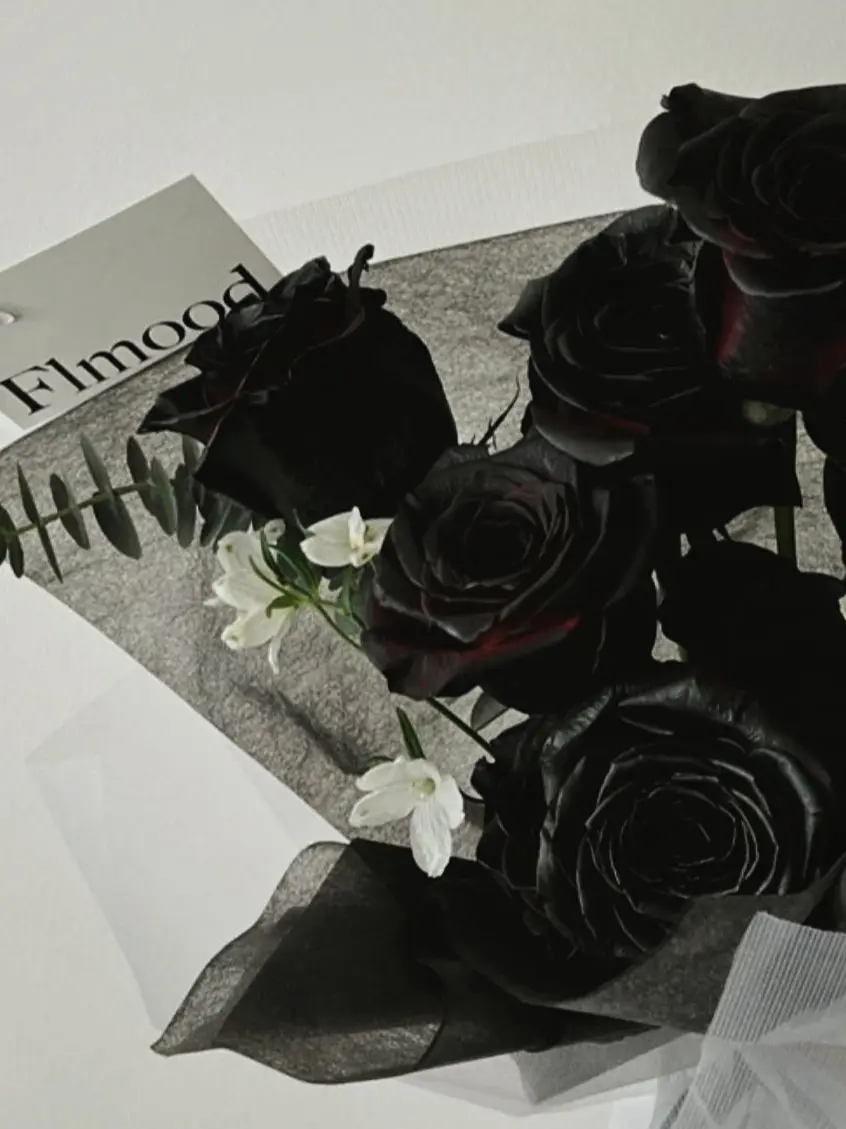 RuralWiper7478의 흑장미 꽃말