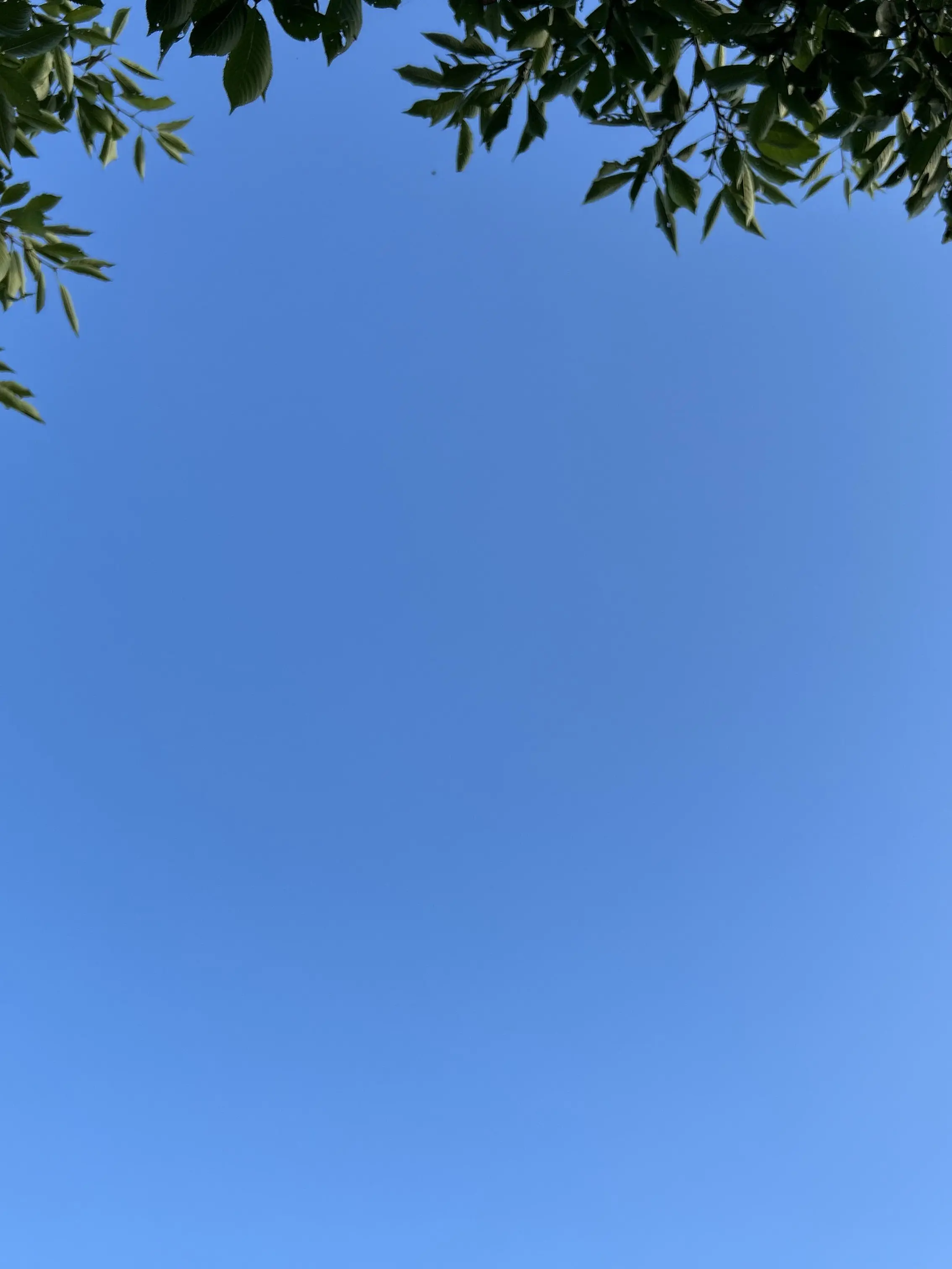 VainChart1968의 仲良し家族