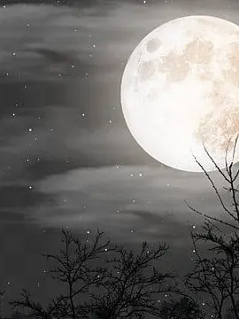 TORI0127의 明けない夜なら壊してしまえ