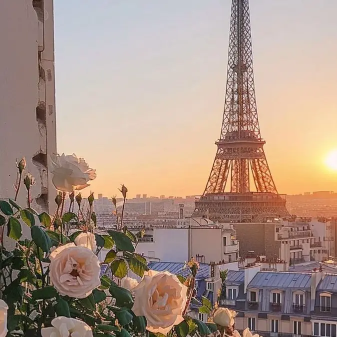 _snow의 패러다이스