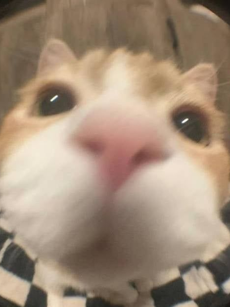 정이안 대표 이미지