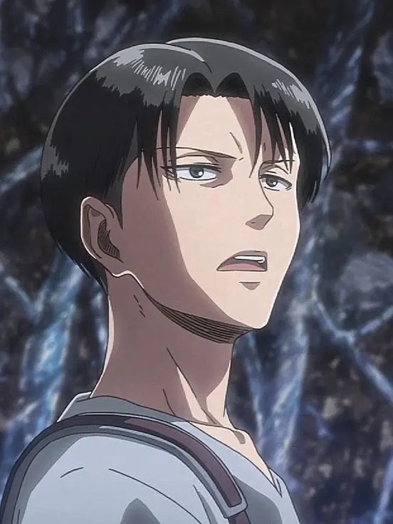 Dia_134의 리바이 아커만