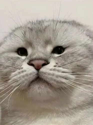 WoodyLinen1405의 "대 세계관 충돌"