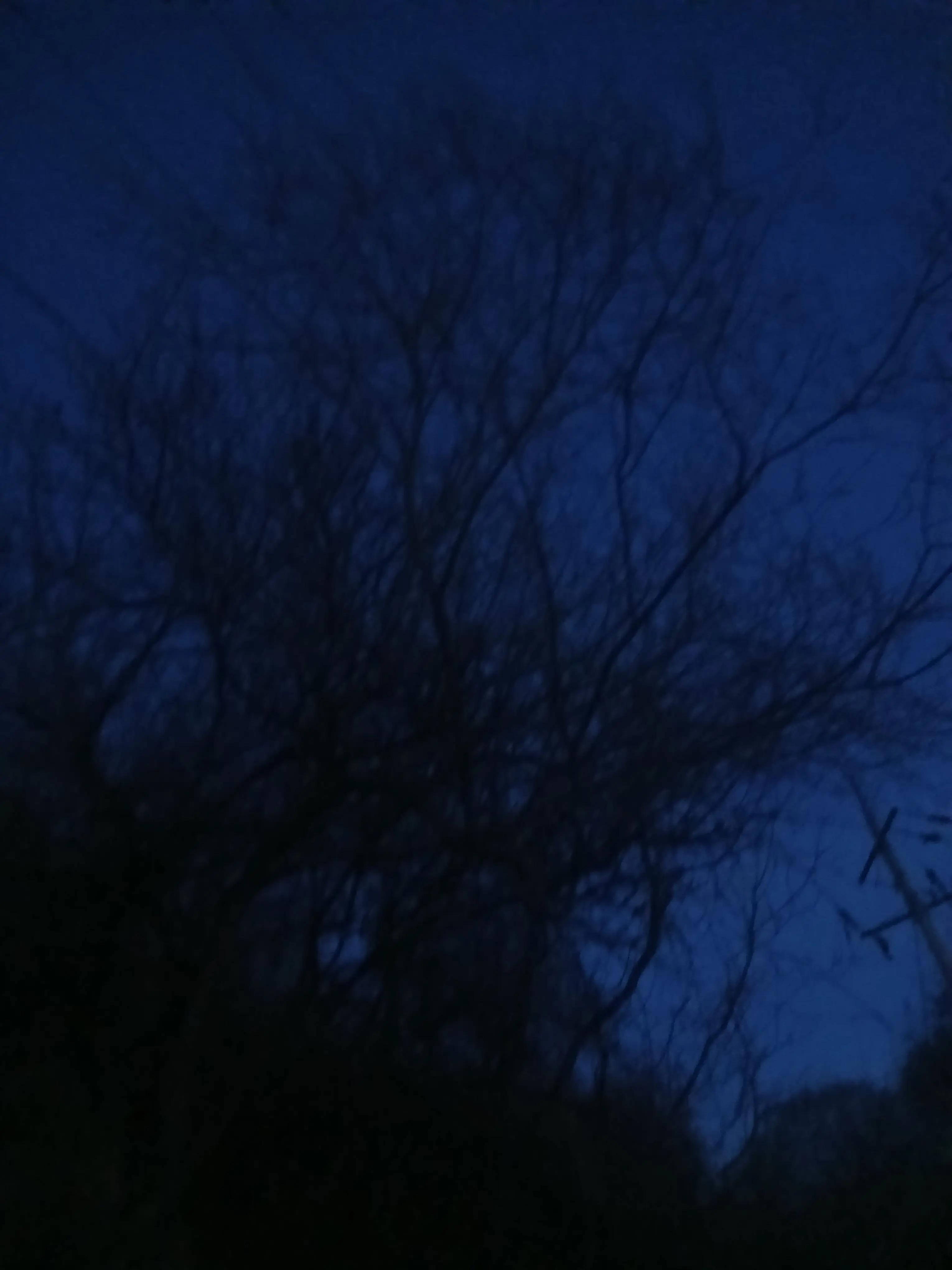 15_poosil의 To my beloved daught