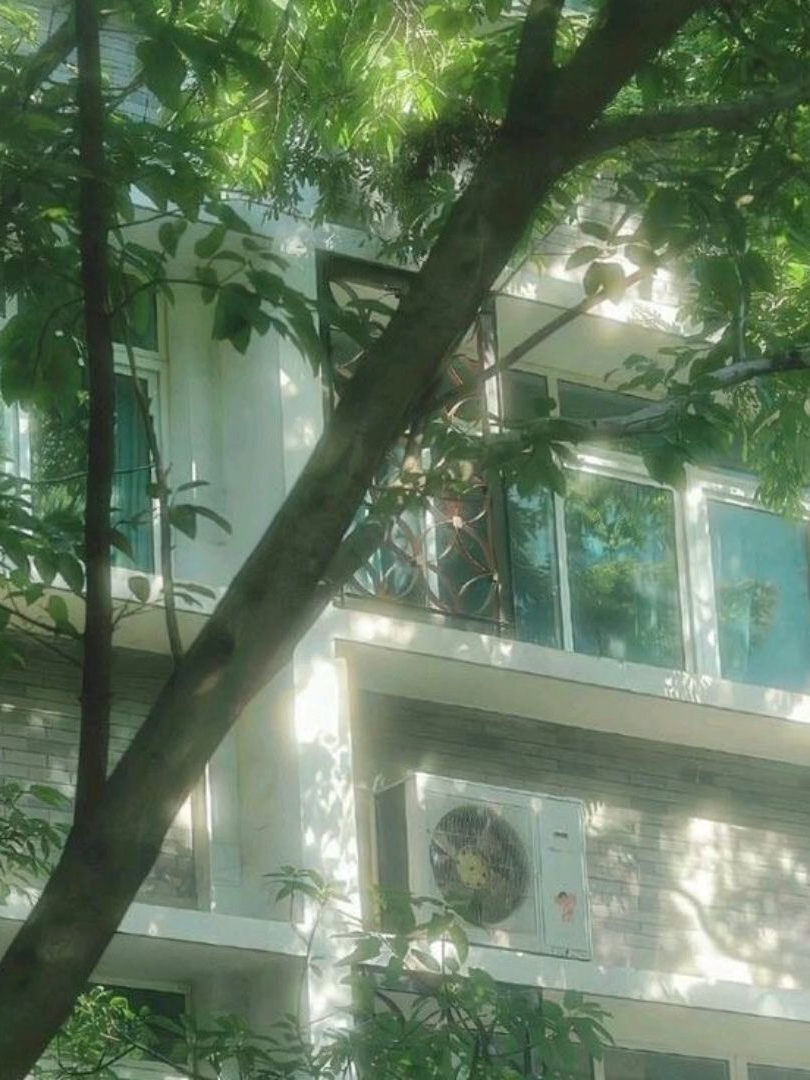 스키즈 수인 대표 이미지