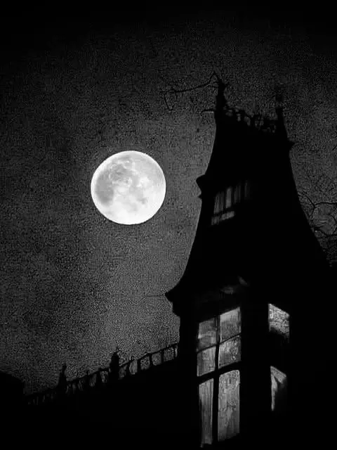 CatGhost의 4