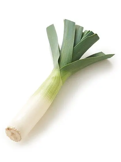 VapidSwing2615의 スターだから我慢できるよね？……ね？