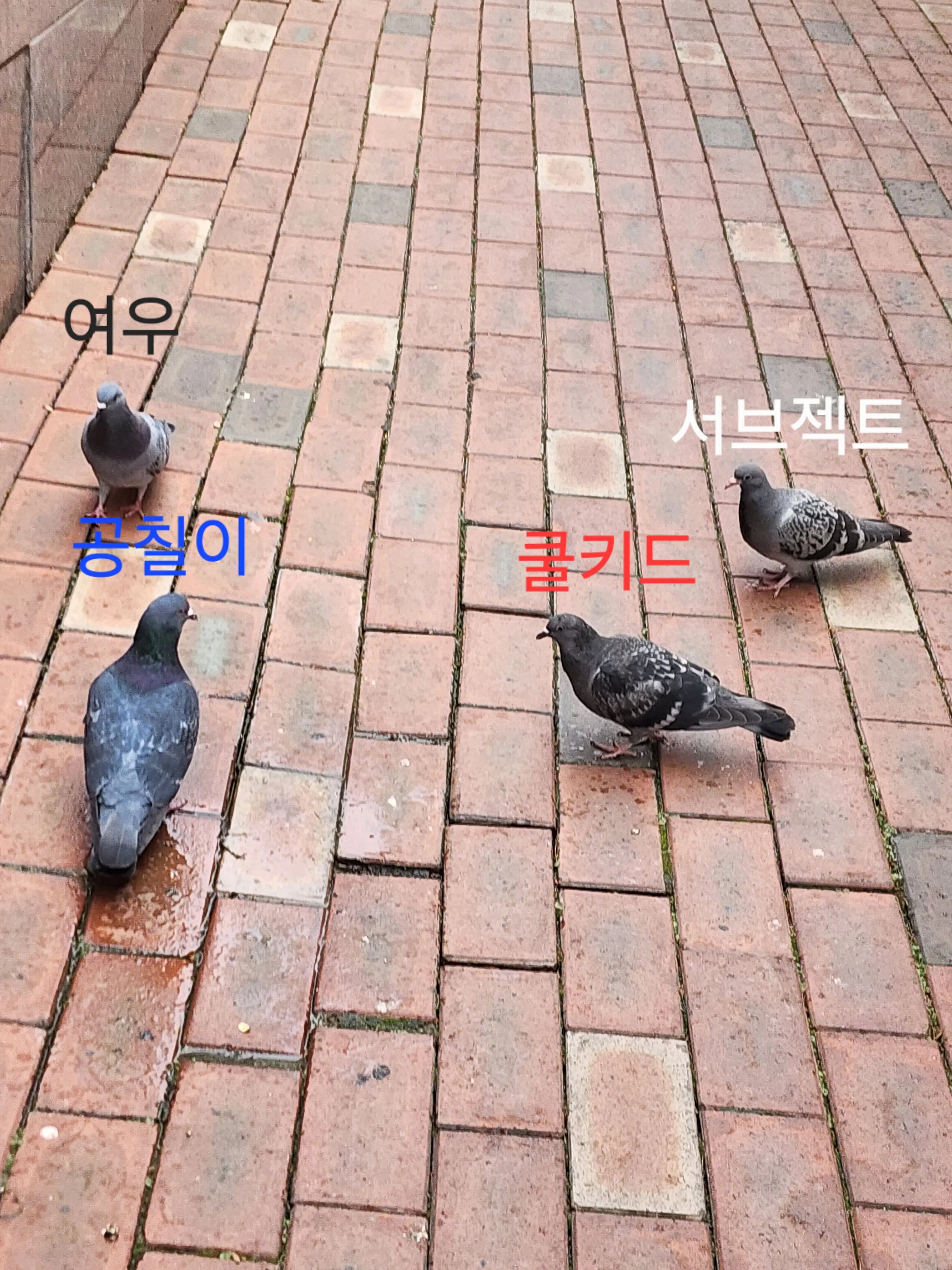 Heyreferee의 포세 수학여행