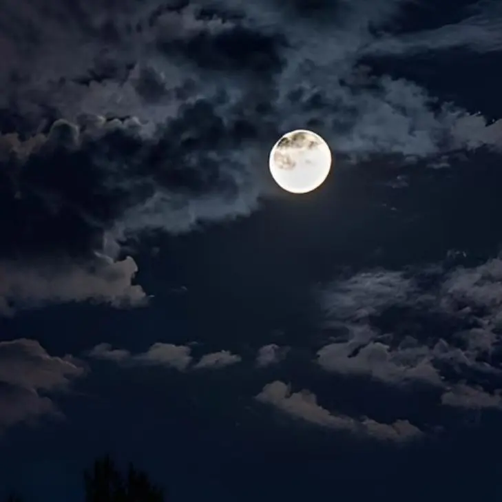 The_Watcher27의 Forensic Scientist x Detective Jayvik 💙