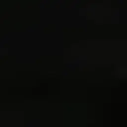 FickleRadar9061의 -