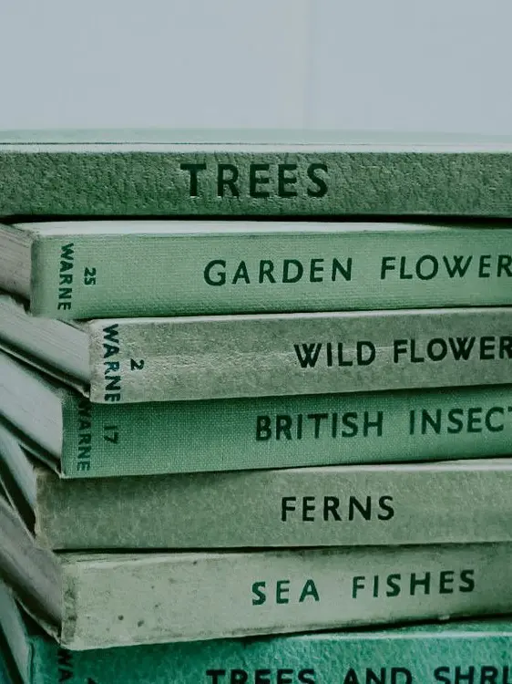 GrayLava7932의 버림받은 드래곤