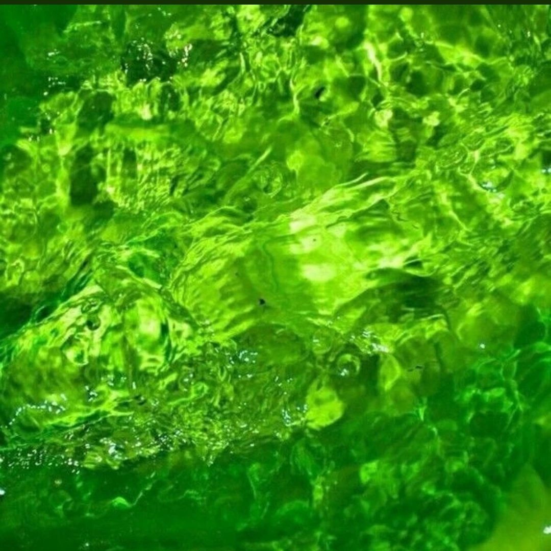 0913