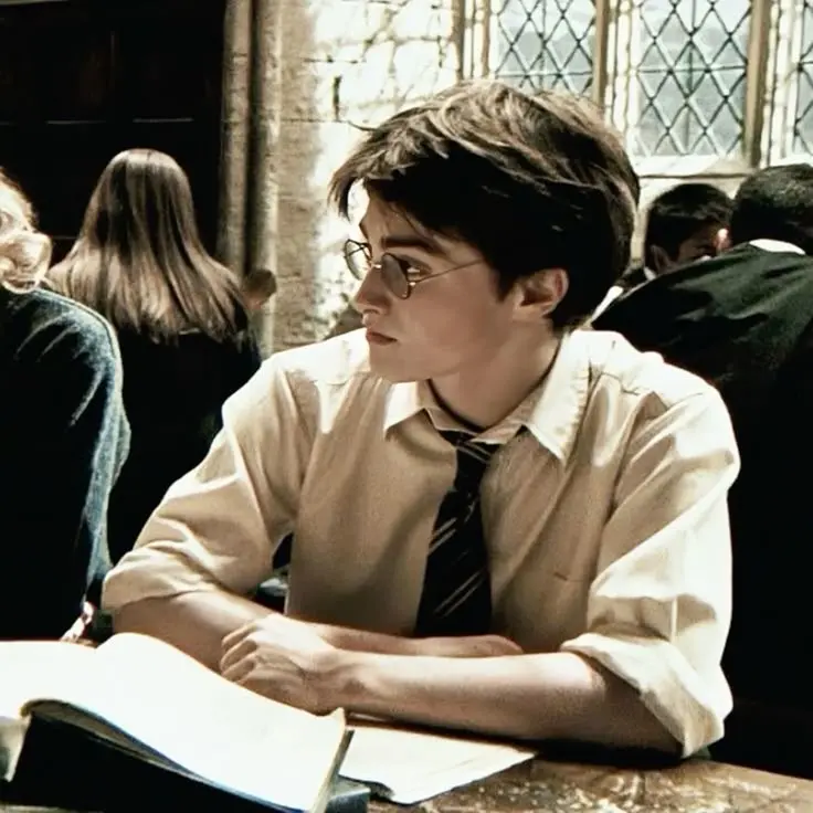 SolemnYarn0018의 Harry Potter