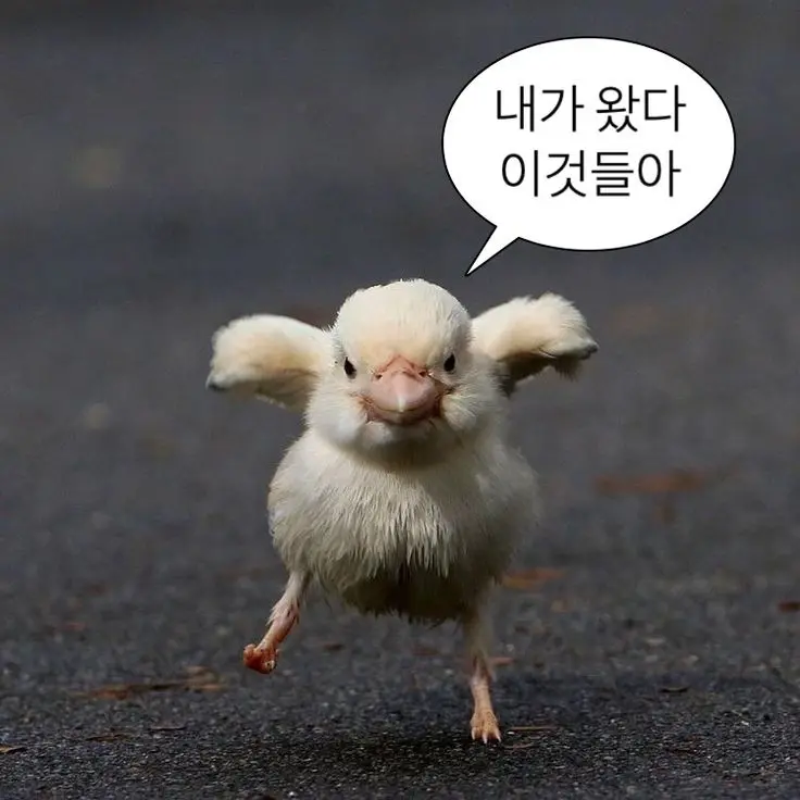 somyeol_love의 유지웅