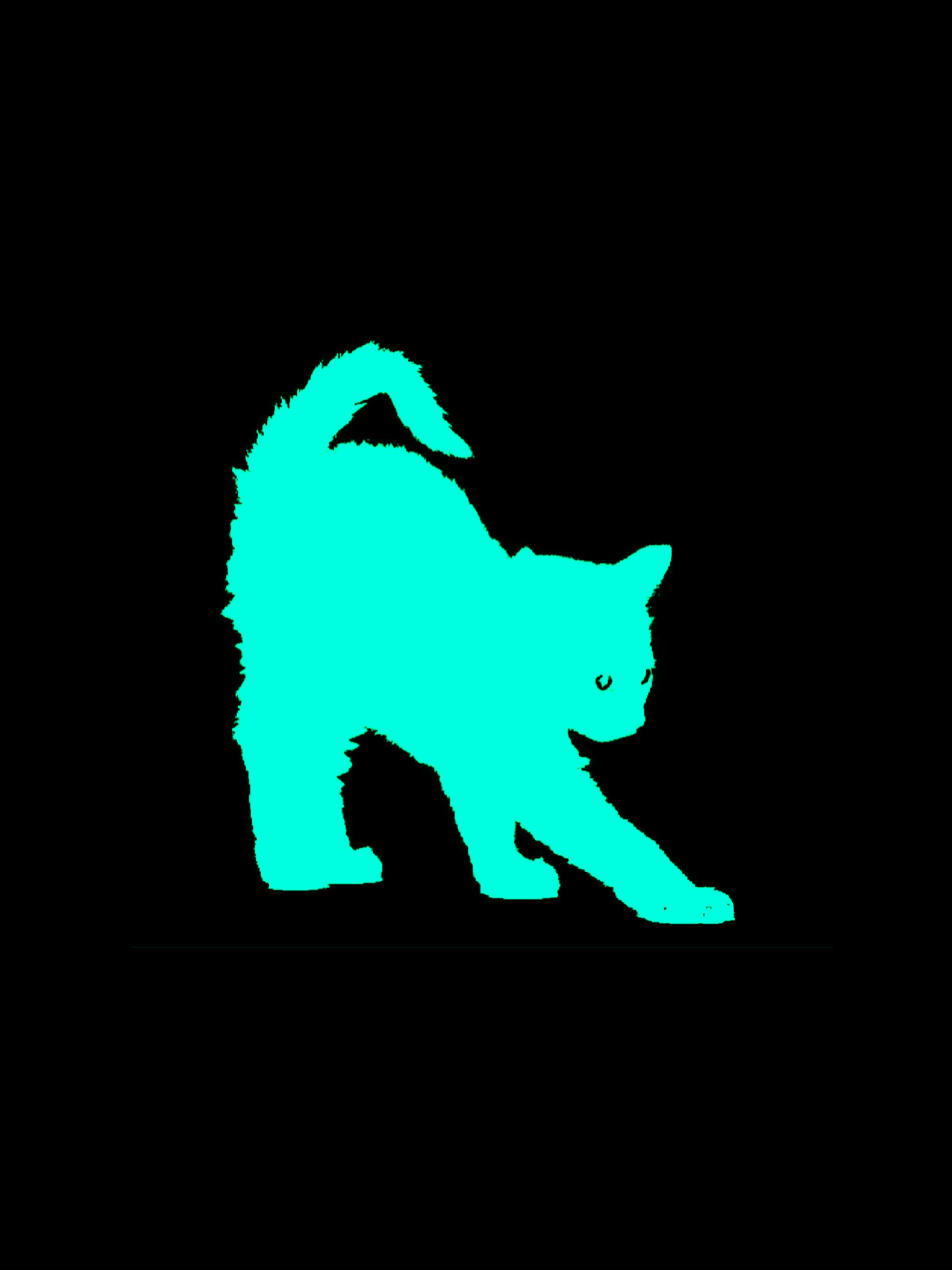 ISMP 대표 이미지