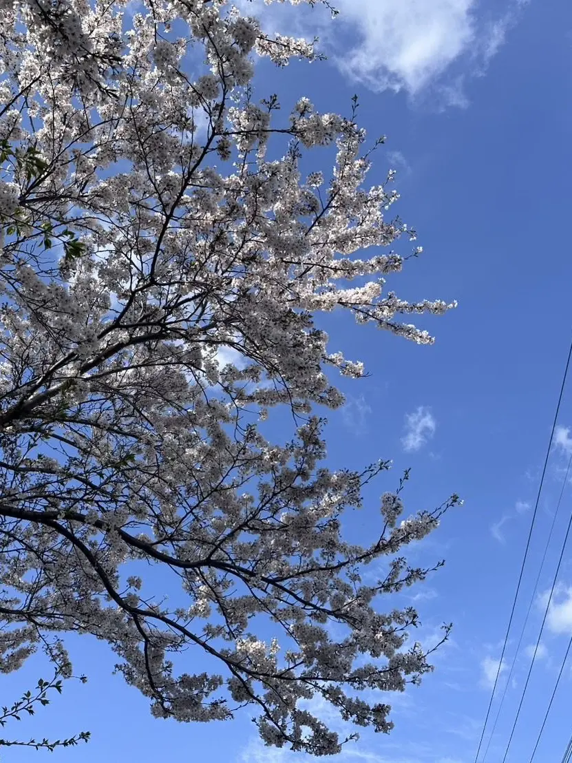 Mei0629의 大学生パロ