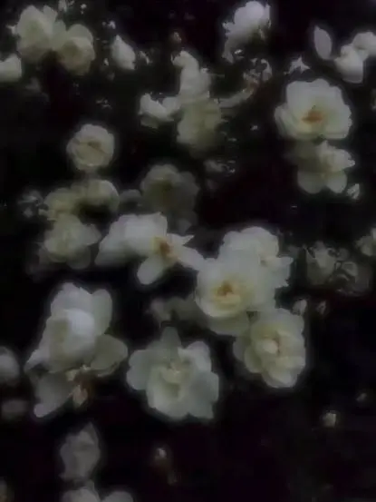 prtyanlove0106의 振り向かせてみて　.