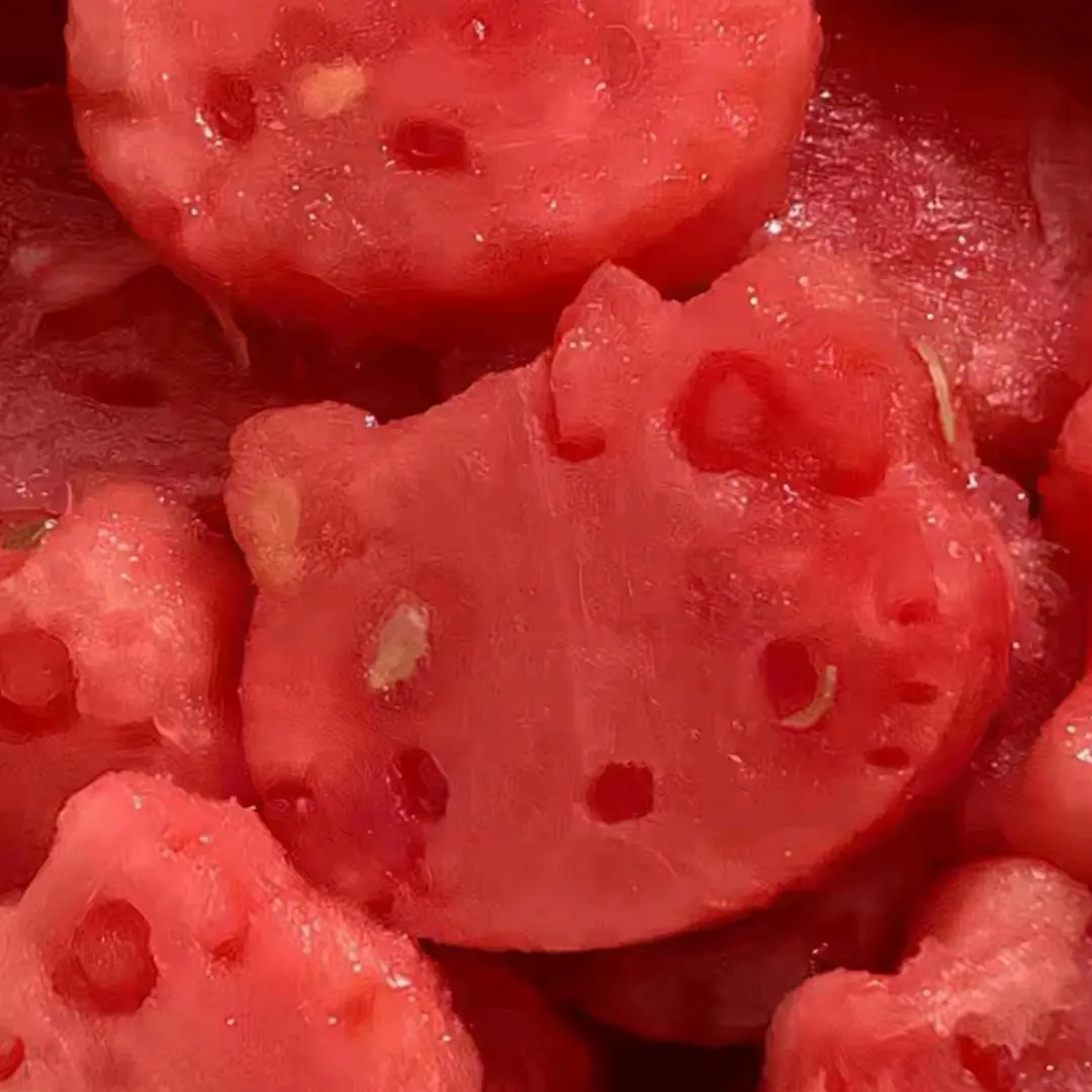 bear_Seowoncom..의 수박화채🍉
