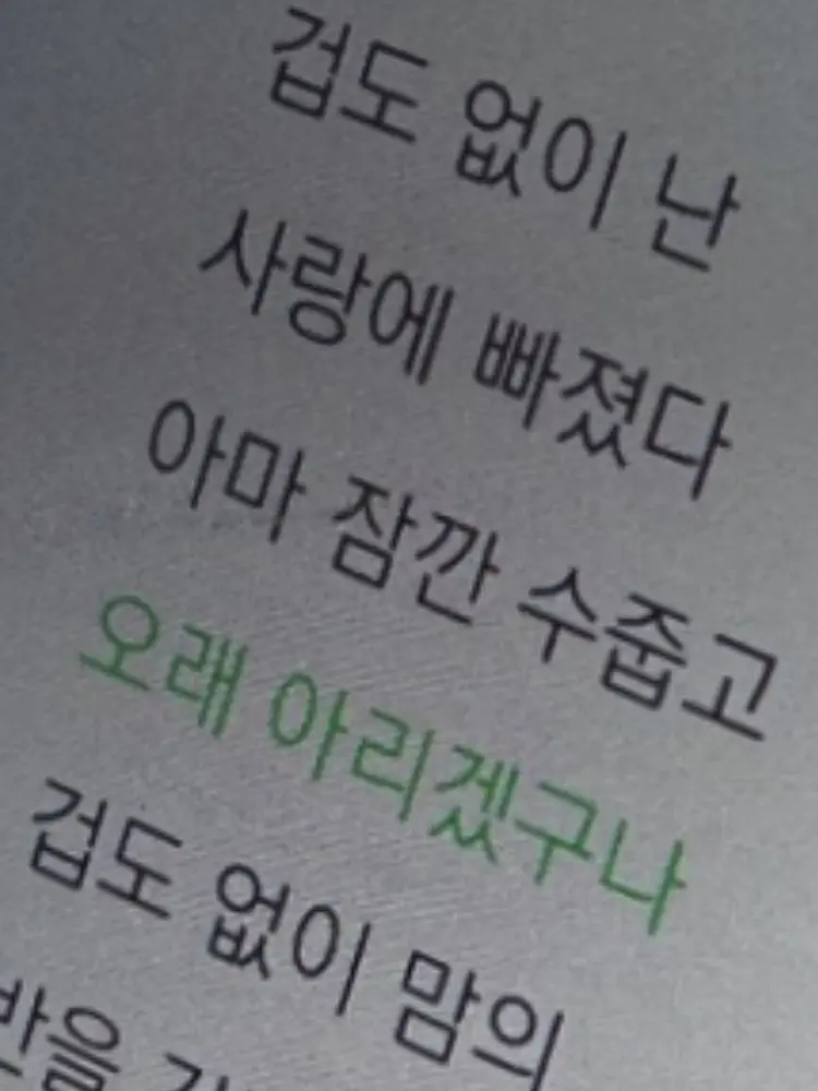 K.Lee._.의 崔要員