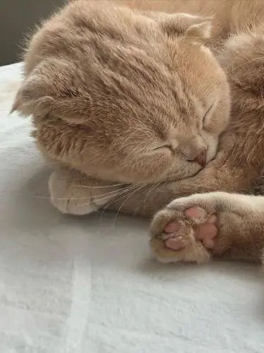 Riki_01124의 じゅん