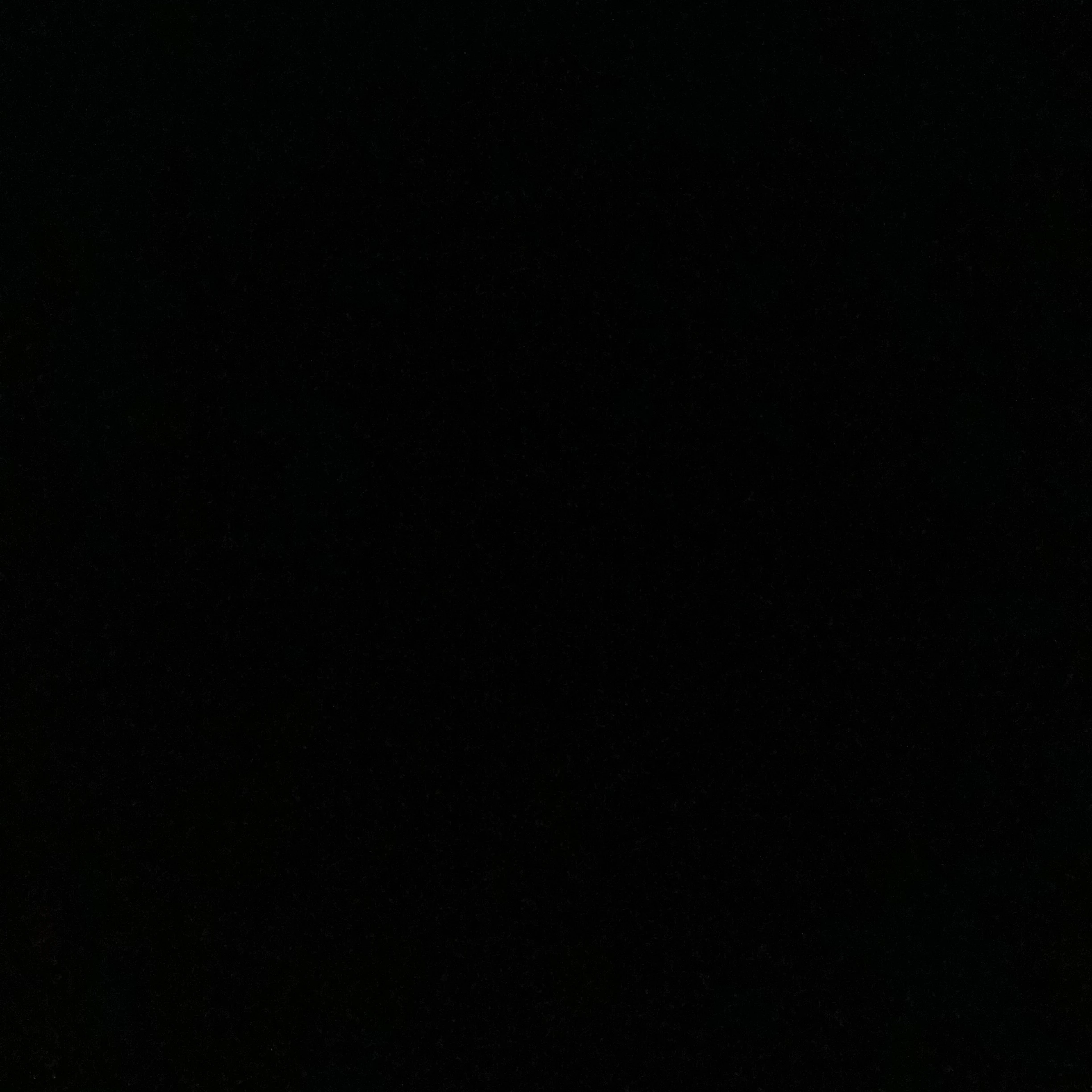 체벌표