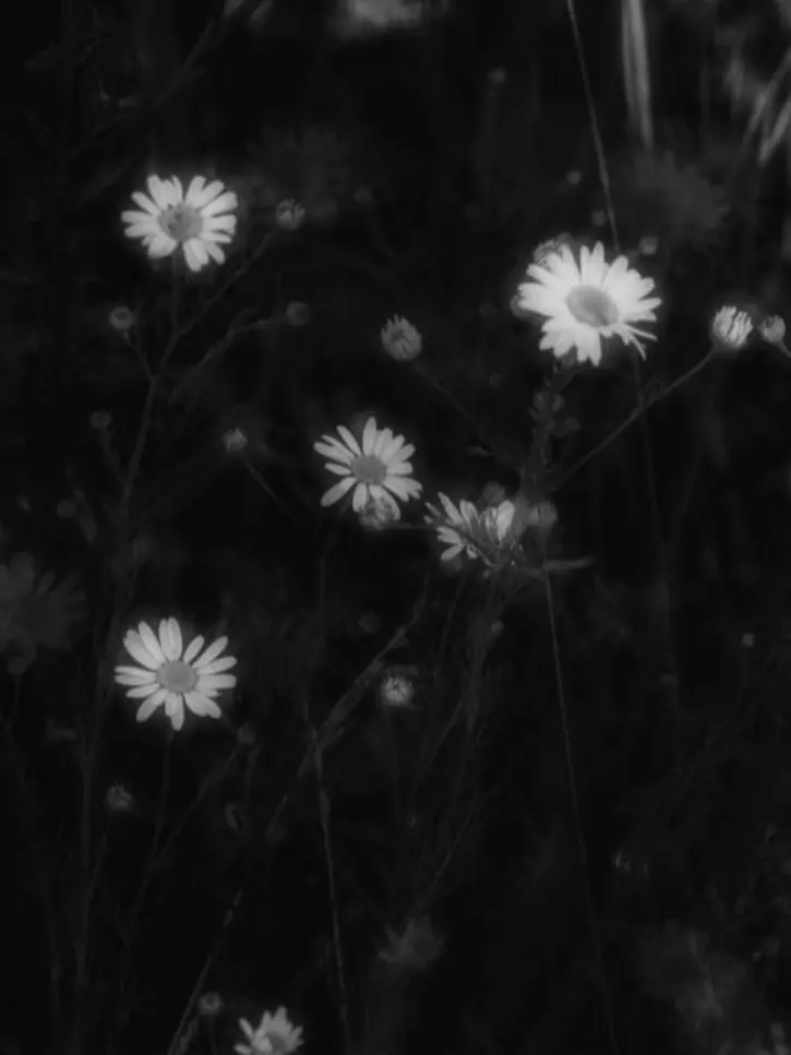wx.gn66의 너한텐 그게 잘 안돼. 이성적인 거.