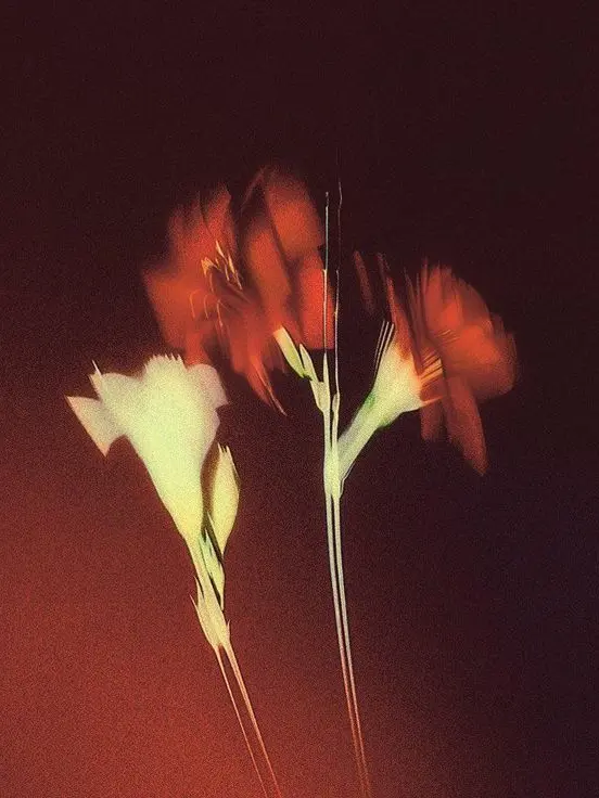 Icaruss의 Bite you.