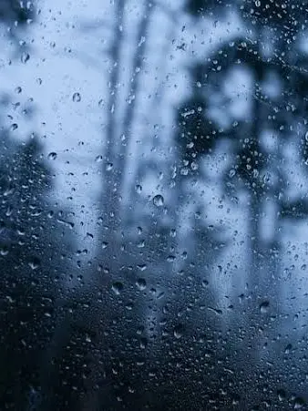humaam의 비 오는 날, 우산 하나.