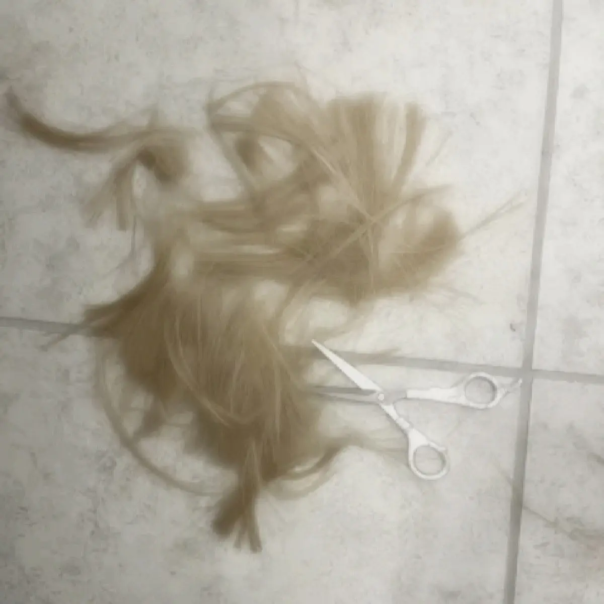 LIN2233의 퓨어바닐라