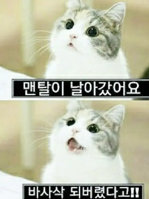 CleanQuoll8867의 괴수 8호