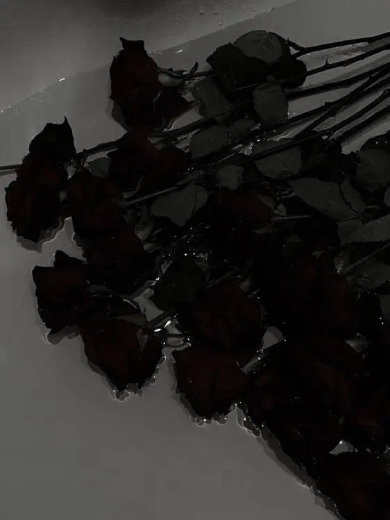 RapierSeat4934의 하나하키병