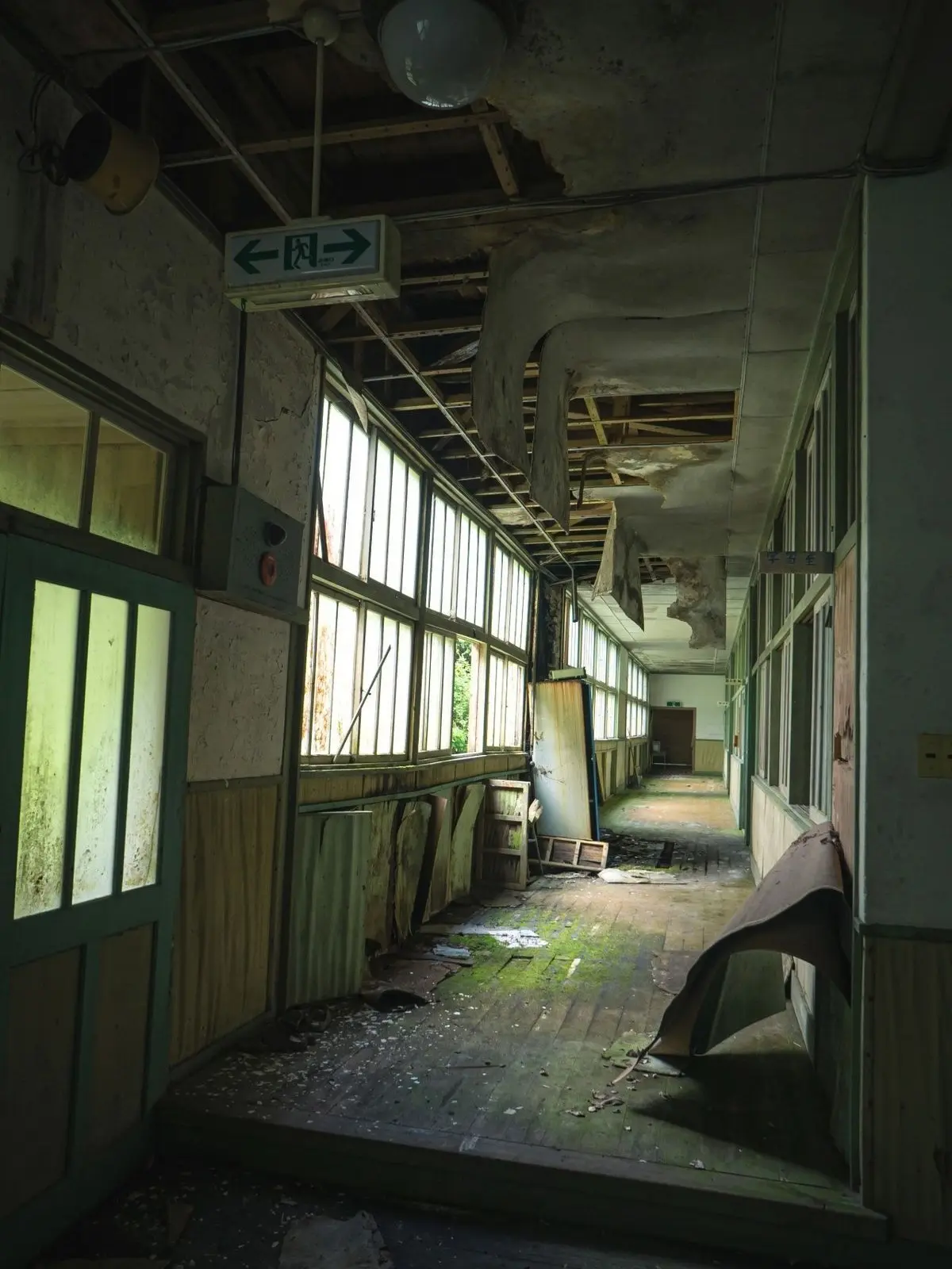 amachan의 感染区域