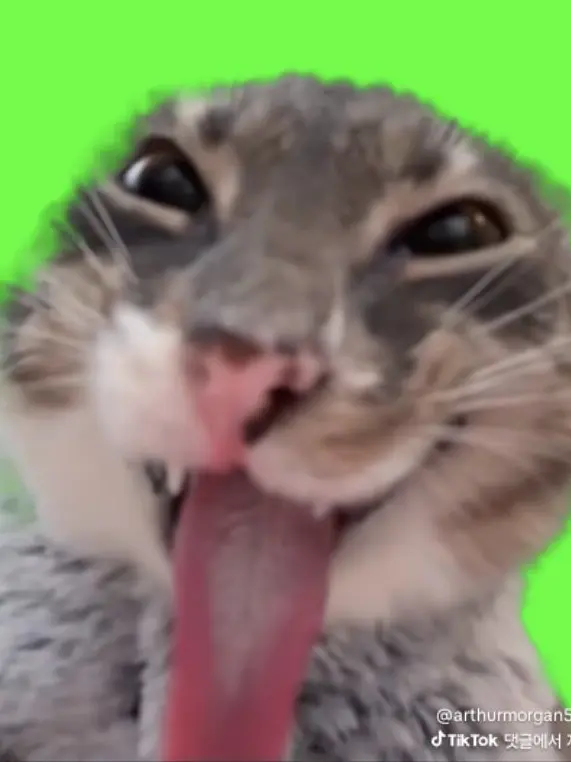 FrayedSkunk9449의 워든파티+여우