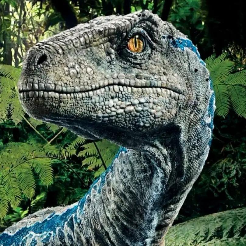 Dut-Dut._13745의 벨로시랩터