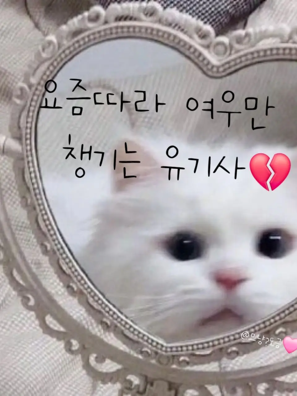 SuperbBeads6034의 요즘따라 여우만 챙기는 유기사