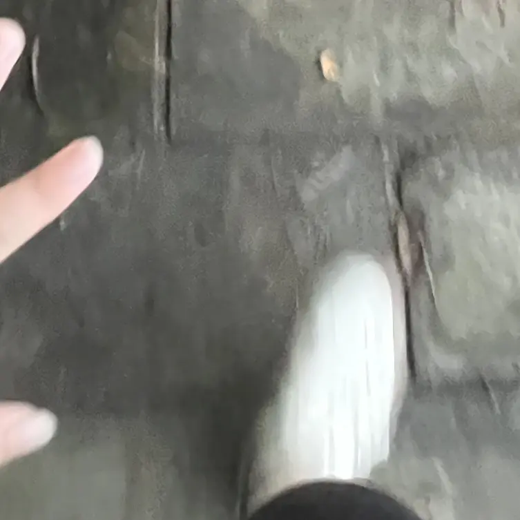 NoisyDoor1494의 強がりの君と。