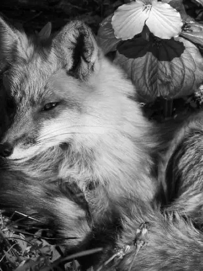 rose136p의 고마워..-