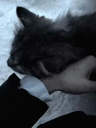 Mimimimimim_g의 嫌われ