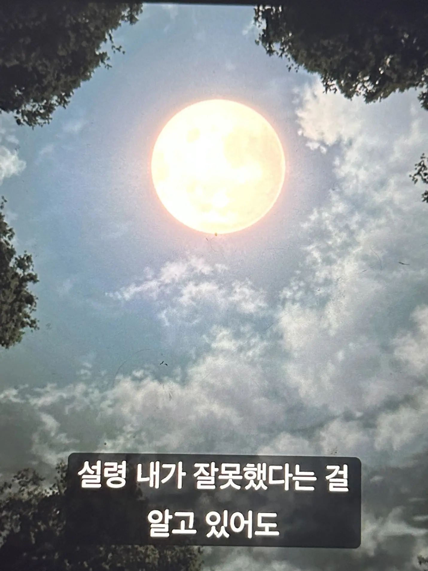 __xzqce의 무한성의 십이귀월 (루이 포함)