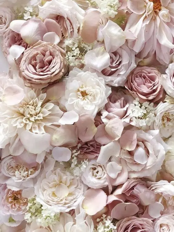 Ra._.yu의 紅一点