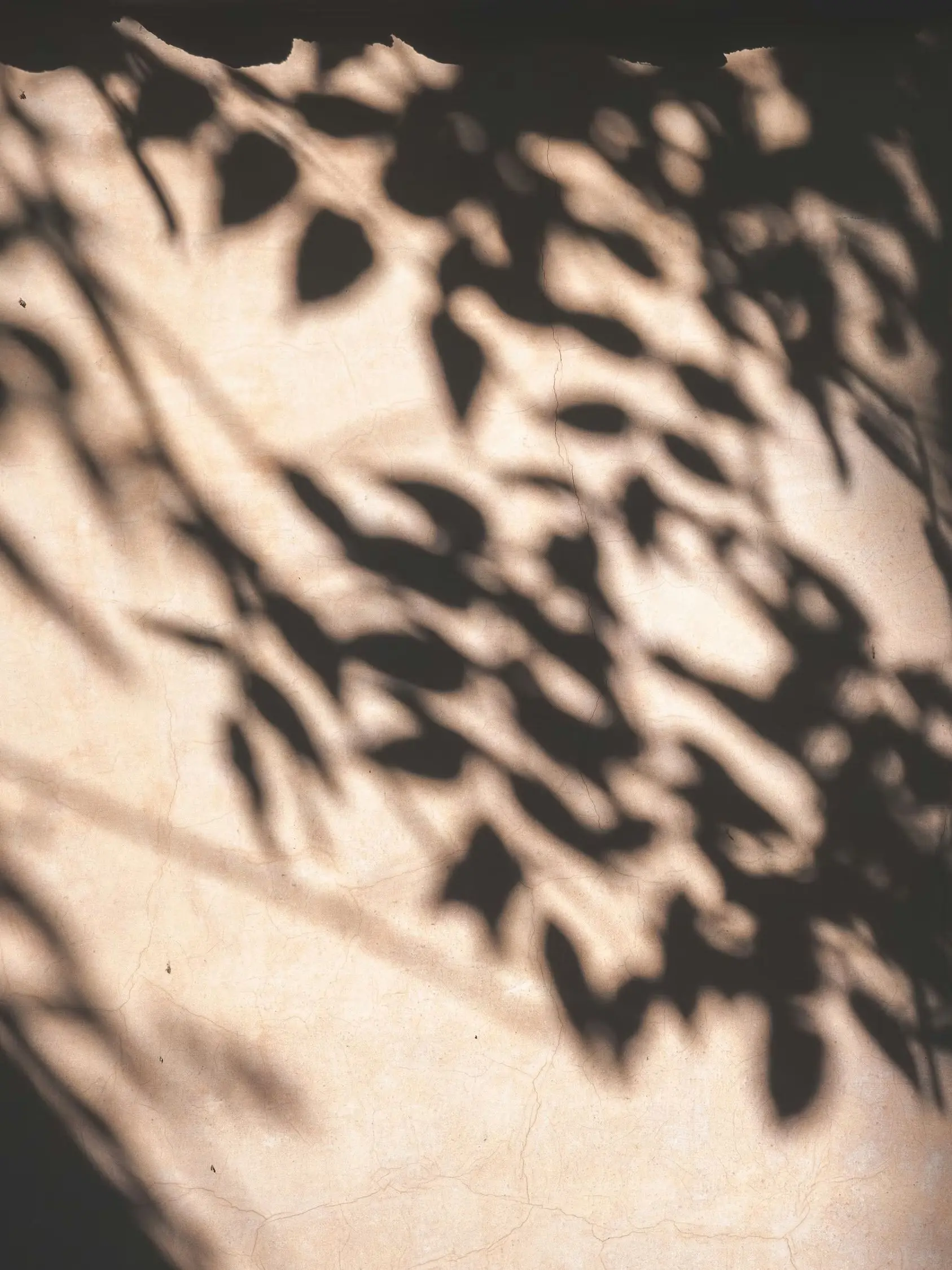 anzendayo의 きたないきみが、‪‪❤︎‬